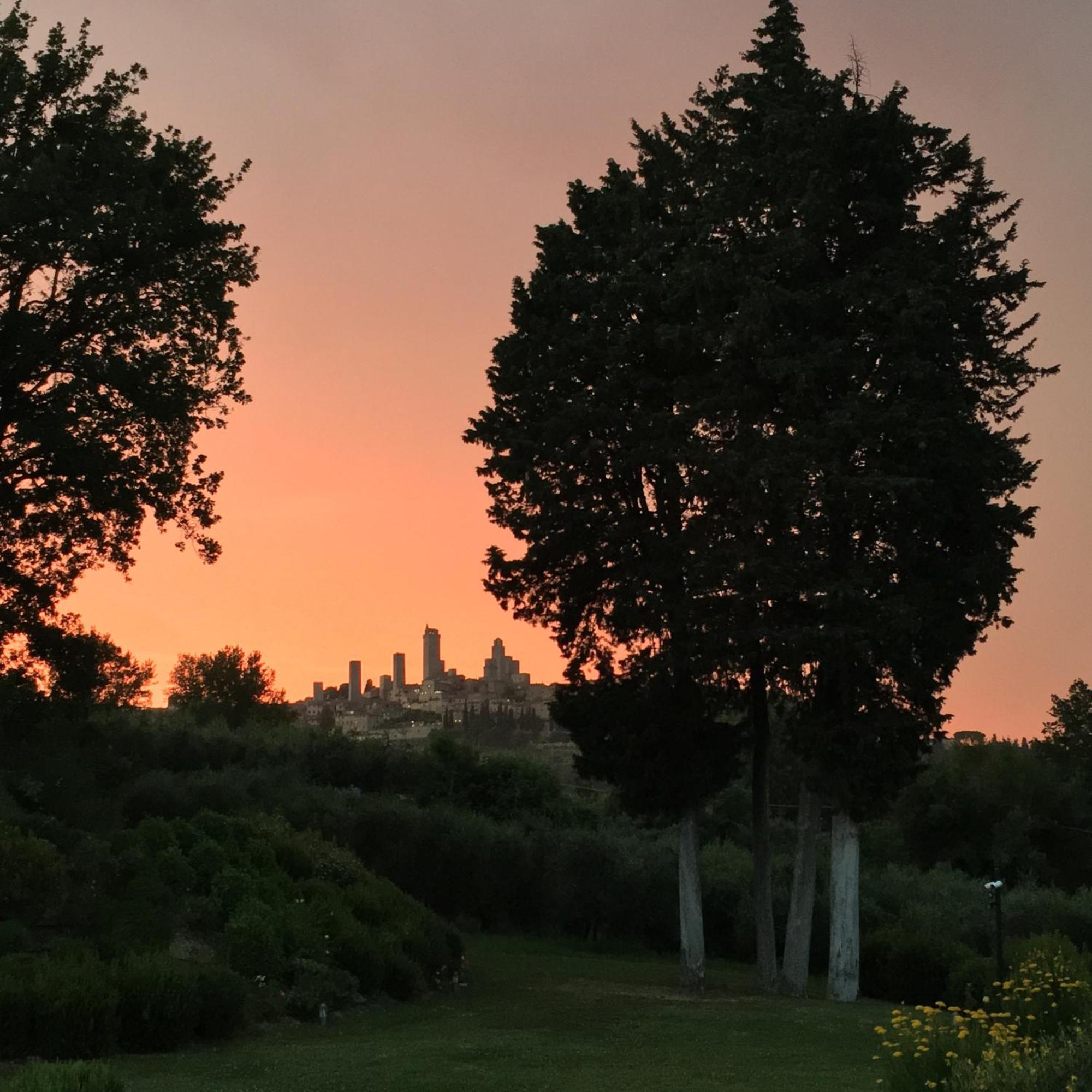 סן ג'ימיניאנו Tenuta Guardastelle - Agriturismo And Vineyard מראה חיצוני תמונה